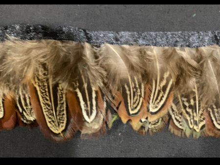 Brown Pheasant Feathers Discount