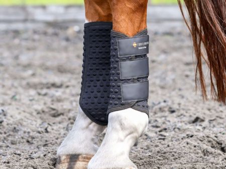 Equilibrium Guêtres Stretch & Flex Flatwork Noir Sale